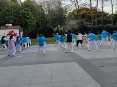 -晓港公园