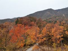 -北京鹫峰国家森林公园