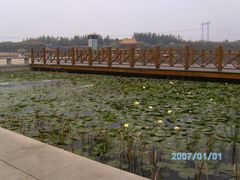 -红莲湖