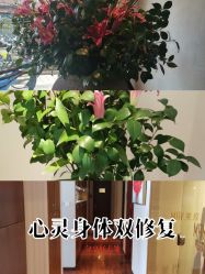 -美玫美容SPA护理中心