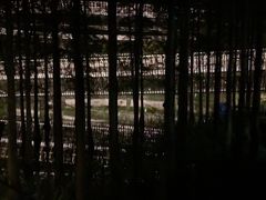 -福道
