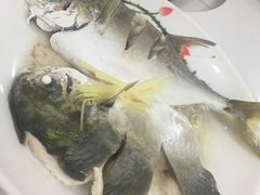 -天鹰观渔(梦园店)