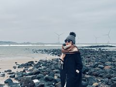 -长江澳风力发电景观区