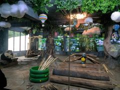 -海南热带野生动植物园