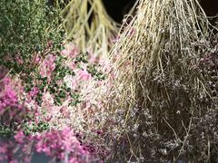 -花十悦·鲜花咖啡餐厅(振业城一期店)