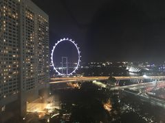 -新加坡文华东方酒店