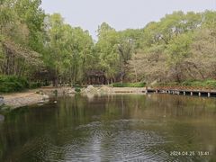-云岗森林公园