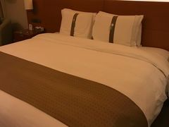 -上海浦东康桥绿地假日酒店