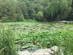 -香山公园