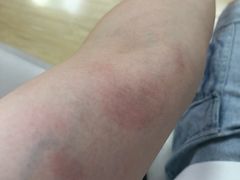 -道顺射箭·团建·骑射(张杨路店)