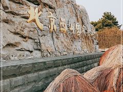 -北京西山国家森林公园