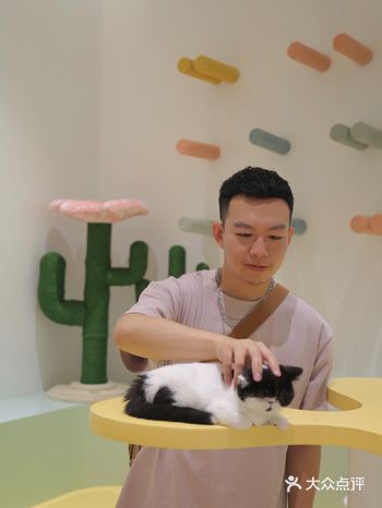 成都撸猫：误闯猫咪们的午休房
