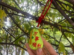 -帽儿山风景区