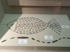 -巴音郭楞蒙古自治州博物馆