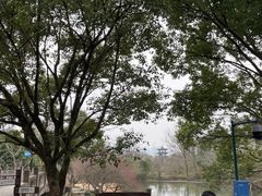 -西溪国家湿地公园