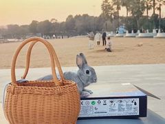 -爱侣宠医·鹦鹉专科·小型哺乳类·异宠专科(灵石路店)