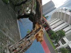 -天河体育中心