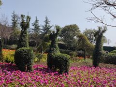 -铁山坪森林公园