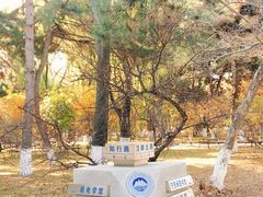 -东北大学(南湖校区)