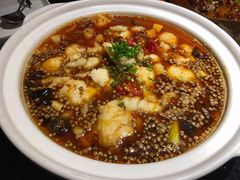 -三强鸽子(中原路店)