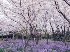 -白塘生态植物园