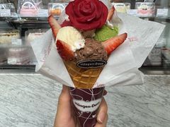 -哈根达斯(武汉天地店)