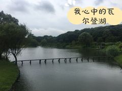 -东方绿舟景区