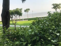 -深圳湾公园(南山区)