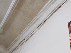 -星鸿社重庆老火锅