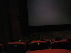 -万达影城(锦华万达广场IMAX店)