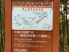 -蛇蟠岛