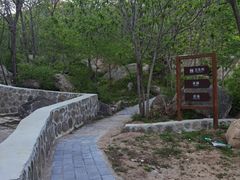 -大岭沟猕猴桃谷风景区