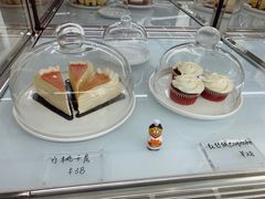 -隹木咖啡馆(宝龙广场店)