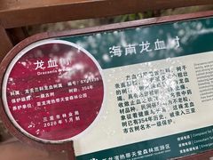 -亚龙湾热带天堂森林公园