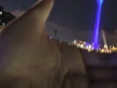 -澳门环岛游湾仔码头