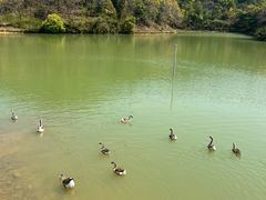 -广州白江湖森林公园