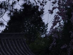 -西安青龙寺遗址景区