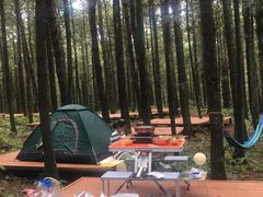 -重庆睡佛山森林公园