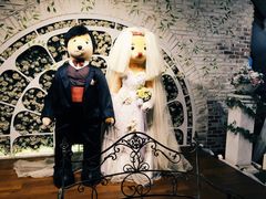 -济州岛泰迪熊博物馆