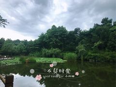 -天目湖山水园