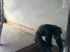 -哈尔滨北方森林动物园