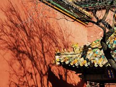 -故宫博物院(故宫)
