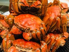 -王宝和酒家(黄浦店)