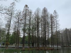 -白塘生态植物园