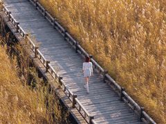 -野鸭湖国家湿地公园