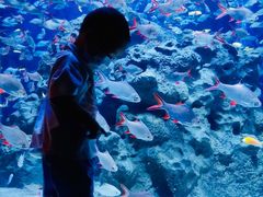 -成都浩海立方海洋公园