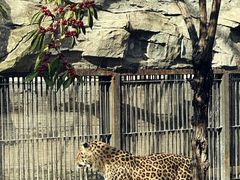 -石家庄市动物园