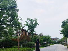 -湘湖金融镇