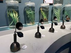 -中国湿地博物馆