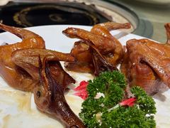 石岐乳鸽-红日饭店(裕隆三路店)